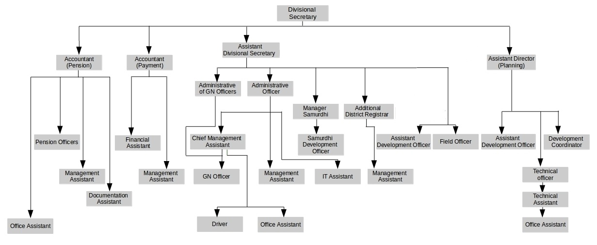organization structure english